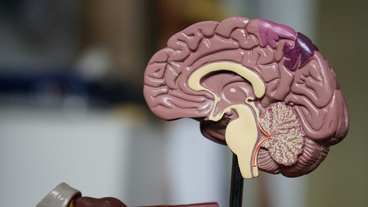 Cultivating environments Where Rare Minds Thrive